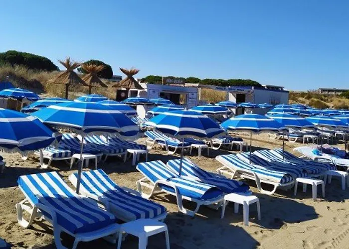 Climatise, Proche Plage, Parfait Pour 4 Pers. - Fr-1-307-123 Апартаменты Ле-Гро-дю-Руа