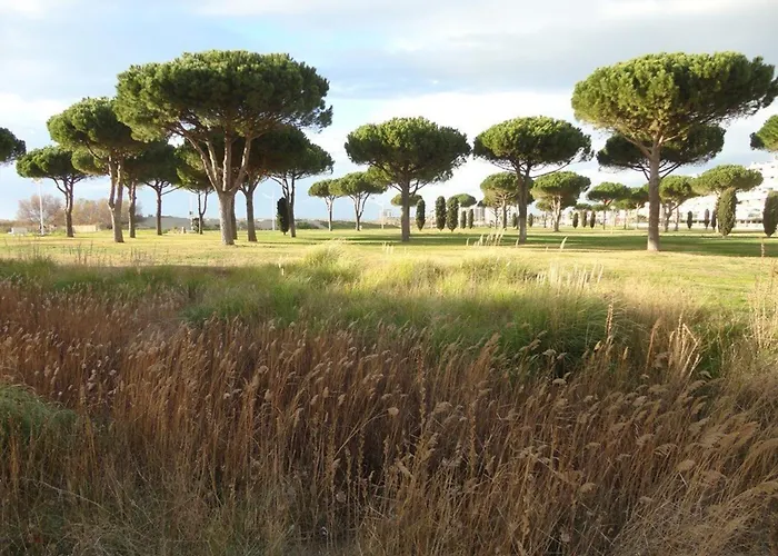 Climatise, Proche Plage, Parfait Pour 4 Pers. - Fr-1-307-123 *