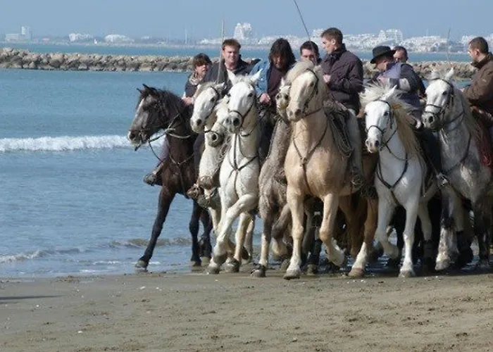 Climatise, Proche Plage, Parfait Pour 4 Pers. - Fr-1-307-123