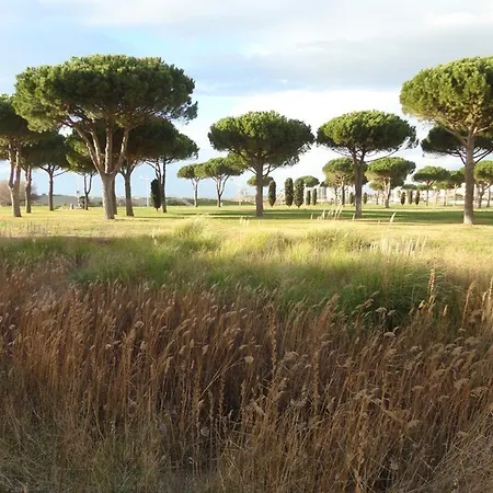 Climatise, Proche Plage, Parfait Pour 4 Pers. - Fr-1-307-123 *