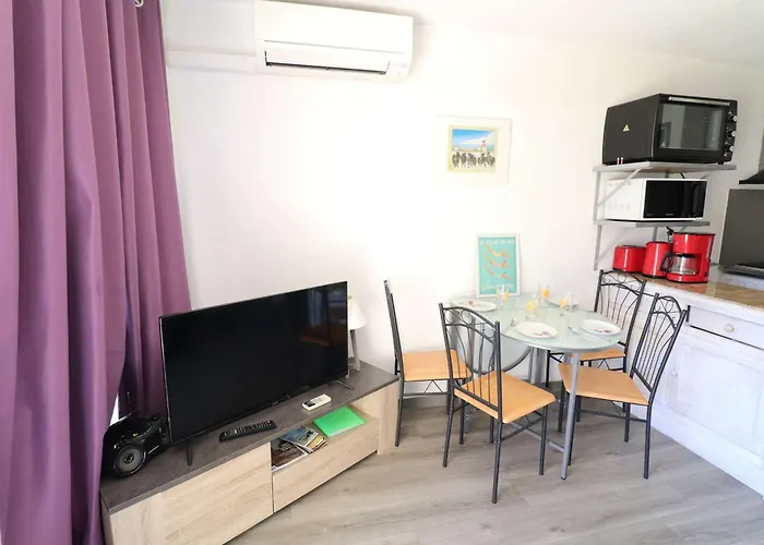 Climatise, Proche Plage, Parfait Pour 4 Pers. - Fr-1-307-123 Apartment *
